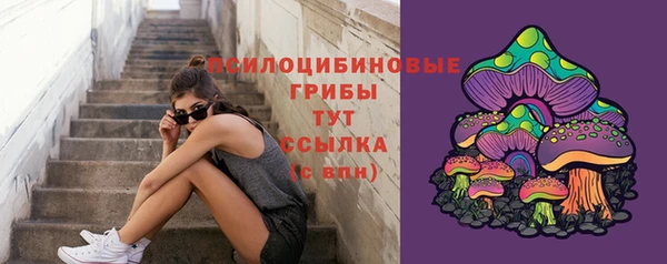 spice Дмитровск
