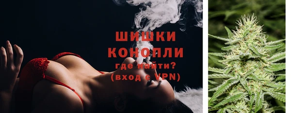 spice Дмитровск