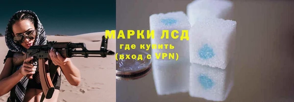 spice Дмитровск