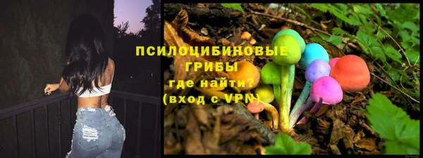 spice Дмитровск